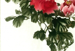 牡丹